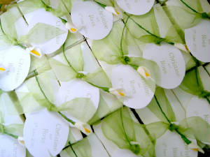 CIMG4397.JPG